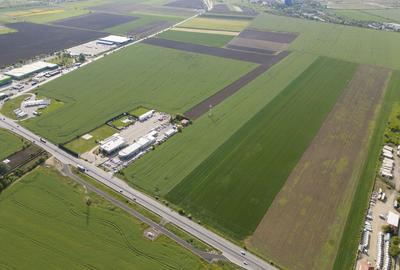 Teren 16.575 mp Arad / Soseaua DN79 - 3