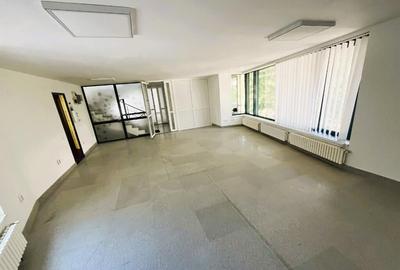 Spațiu comercial, de 110 mp, în Central - 13