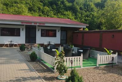 Vand ( schimb) Pensiune si Restaurant in Cugir ( Raul Mare) - 3