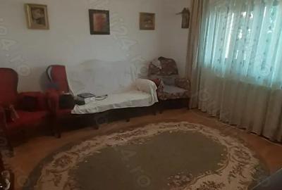 Proprieta,vind vila in Lunca Cetatuii - 2