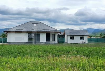 Casa si casuta pentru party - 2