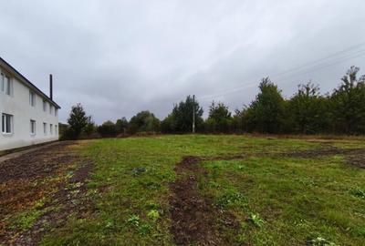 Hala + teren 8000mp de inchiriat, zona Manastioara, Siret - 17