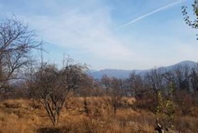 Teren de 4000 mp, în Central - 13