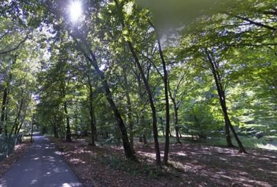 Teren de 2530 mp, în Gruiu - 3