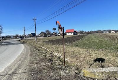 Teren de 60000 mp, în Exterior Vest - 6