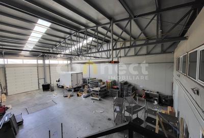 Hala 300mp+birouri 50mp - 1