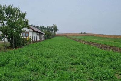 Teren de 1400 mp, în Sâncrai - 1