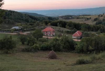 Casă cu 6 camere cu Teren 1200 Mp în Damiș - 7