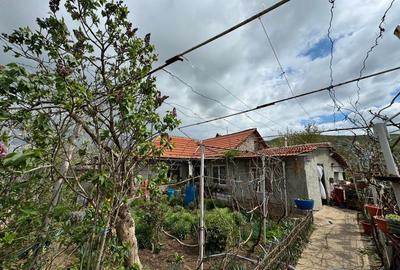 Casă cu 3 camere în Babadag - 6