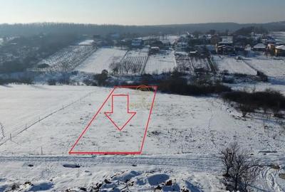 Teren de 1439 mp, în Viile Satu Mare - 6