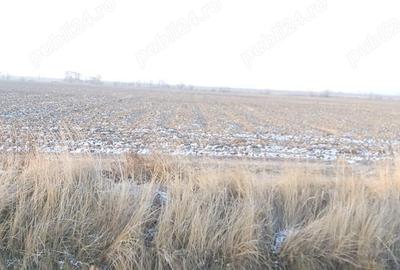 Teren de 23200 mp, în Căteasca - 2