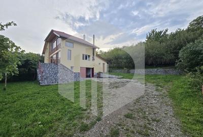 Casa individuala 4 camere teren 3825 mp Cisnadioara - 2