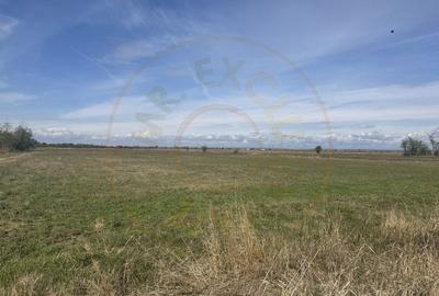 Teren Intravilan com. Ratesti - 1