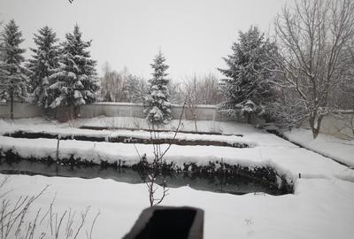 Teren Construcții intravilan de 2300 mp, în Prejmer - 5