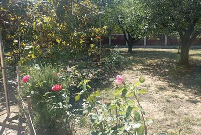 Vila- p+m- zona Zavoi Deva - 9