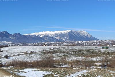 Spațiu comercial, în Bran