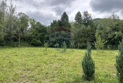 Teren de 1350 mp, în Gârcina - 14