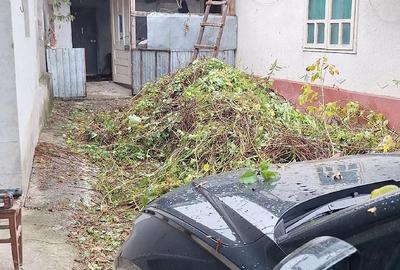 Casă cu Teren 960 Mp în Bâlca - 7