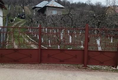 Casă cu 3 camere cu Teren 2800 Mp în Central - 1