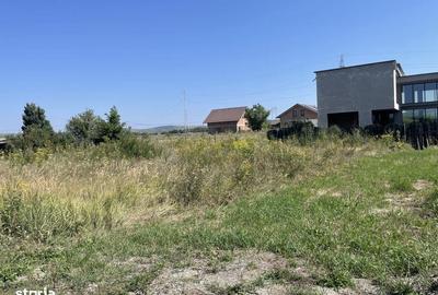 Spațiu comercial, în Veterani - 3