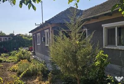 Casă cu 3 camere cu Teren 748 Mp în Palazu Mare - 1
