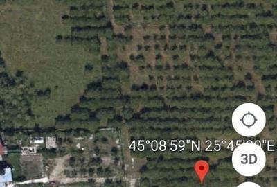 Spațiu comercial, în Voila - 24