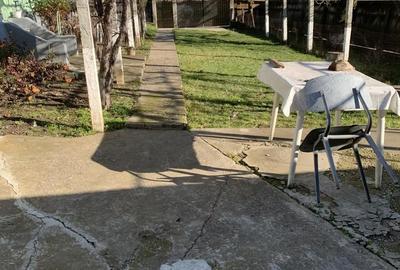 Casă cu Teren 1363 Mp în Siliștea - 2