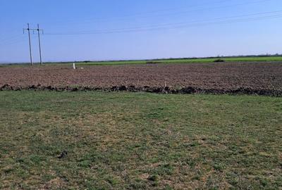 Spațiu comercial, în Sacoșu Turcesc - 3