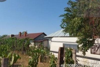 Teren intravilan Leu, Jud. Dolj, - 4