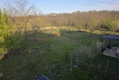 Casă individuală cu 5 camere cu Teren 500 Mp în Snagov - 11