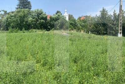Teren intravilan 3.000 mp cu front stradal 30 m - Sat. Moacsa, utilitati. - 4