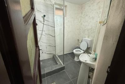 Casa P+1, 196 MP teren, 71,35 MP utili, Craiova, Lascar Catargiu - 11