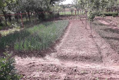 Casă cu 3 camere în Gălești - 9