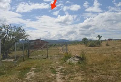 Teren de 4102 mp, în Valea Crișului - 8