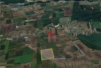 Teren de 235000 mp, în Tărtășești - 2