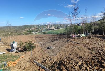 Teren Construcții intravilan de 1200 mp, în Săldăbagiu de Munte - 9