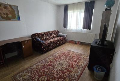 Apartament cu 2 camere decomandat în Remetea Mare - 2