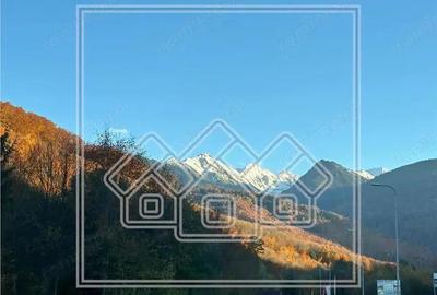 Casa de vacanta in Cartisoara, Transfagarasan - teren 971 mp, 8 camere - 7