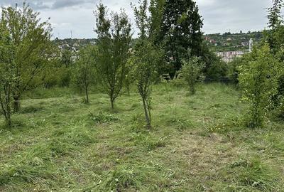 Spațiu comercial, în Vest