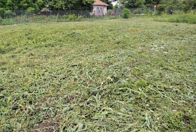 Teren de 5000 mp, în Corbii Mari - 7