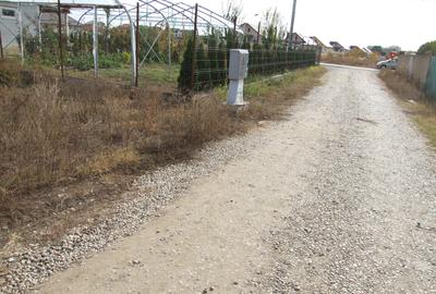 Domnesti-Ciocarliei, Afinului - 5