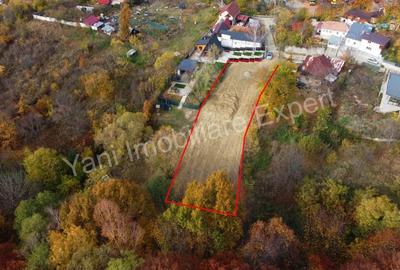 Teren de vanzare in Curtea de Arge?, Strada Anghele?ti. - 6