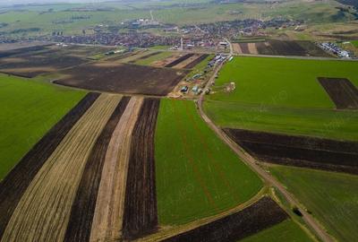 Teren de 8000 mp, în Copăceni - 2