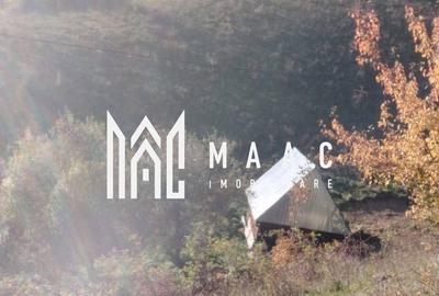 Teren de 35000 mp, în Bistra - 4