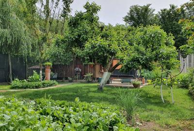 Apartament cu 2 camere decomandat în Curtișoara - 2