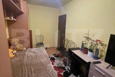 Apartament cu 3 camere semidecomandat, mobilat în Brazda lui Novac - 6