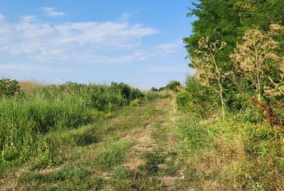 VANZARE TEREN EXTRAVILAN VANZARE TEREN EXTRAVILAN - 3