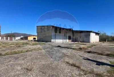 Spatiu industrial depozit/productie Spatiu industrial depozit/productie - 5