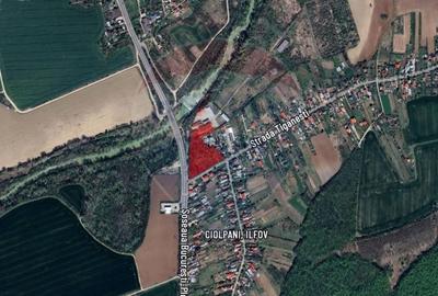 Teren Constructii, Intravilan vanzare, in Ilfov, Ciolpani - 3
