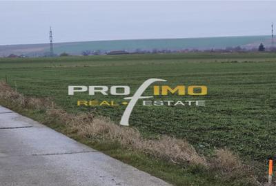 Teren de 4200 mp, în Corbu - 4